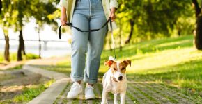 Pets Benefit Our Mental Health